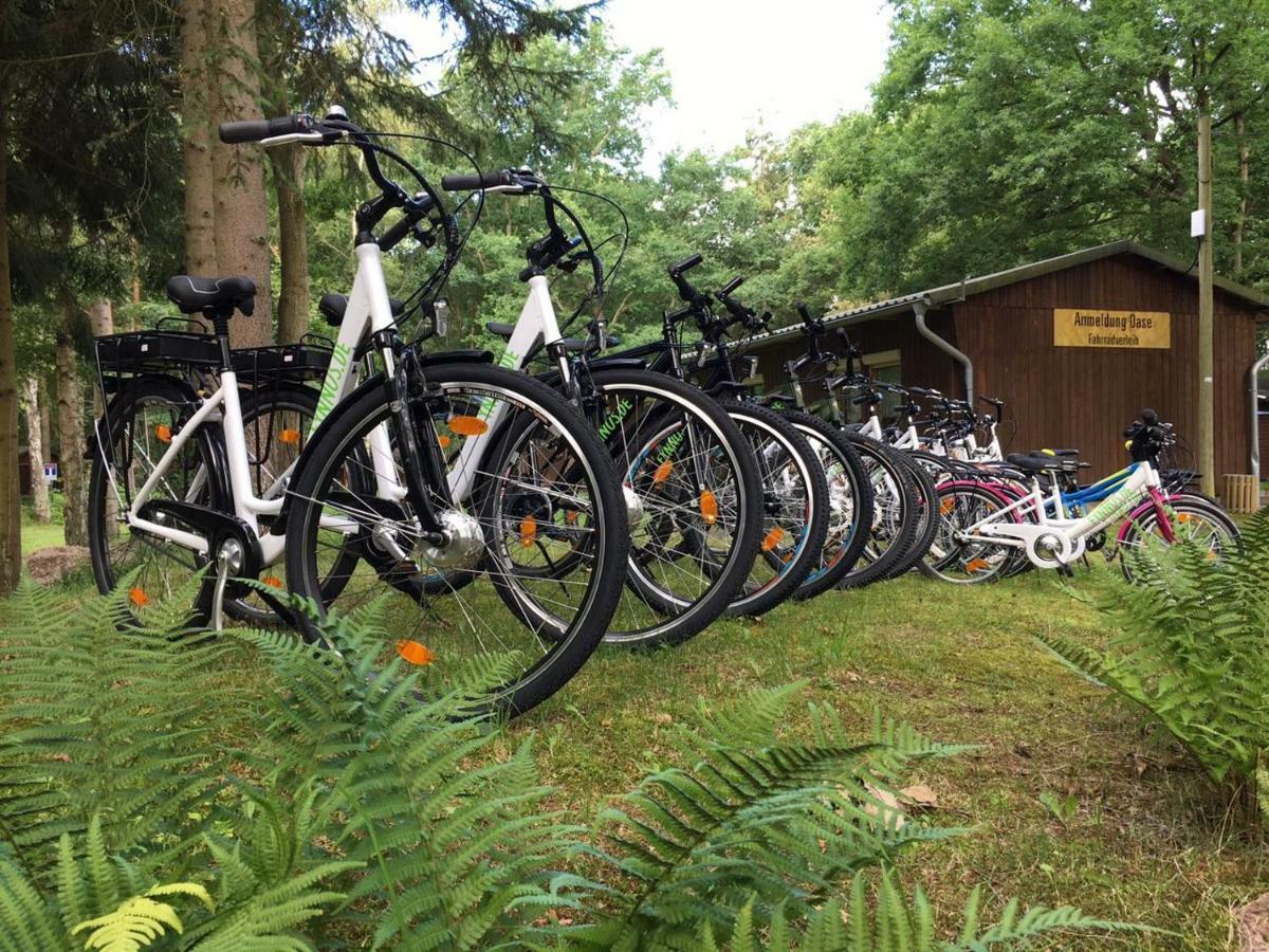 Feriendorf Fynnus ดรันส์เคอ ภายนอก รูปภาพ